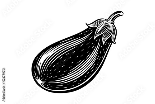 A brinjal eggplant aubergine vintage woodcut illustration in a vintage style photo