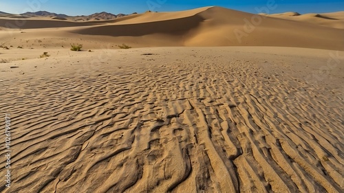 sand dunes in the desert