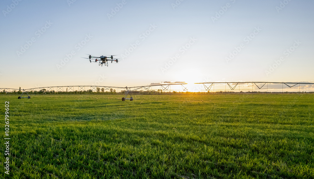 Agro drone works on the field. Field treatment with chemicals. Spraying pesticides against pests. Innovations in the agricultural sector. Agro drone works on the field. Field treatment with chemicals. Spraying pesticides against pests. Innovations in the agricultural sector.