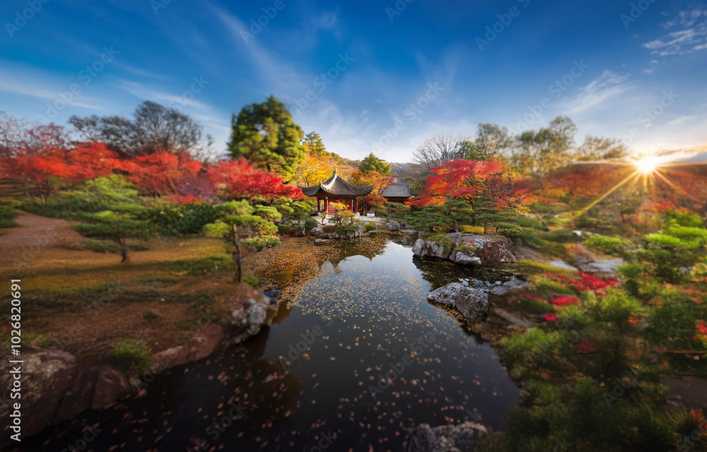 A tranquil garden scene with a pond, surrounded by autumn foliage and a traditional building in the distance. The sun shines brightly, casting a golden glow over the landscape. A tranquil garden scene with a pond, surrounded by autumn foliage and a traditional building in the distance. The sun shines brightly, casting a golden glow over the landscape.