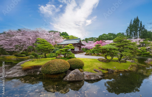 A traditional Japanese garden with a pond and a wooden building in the background surrounded by cherry blossom trees.