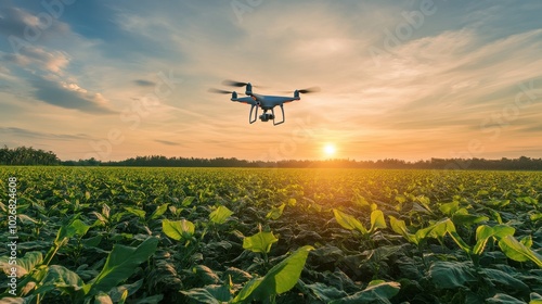 Drone Monitoring Crop Health with Thermal Imaging