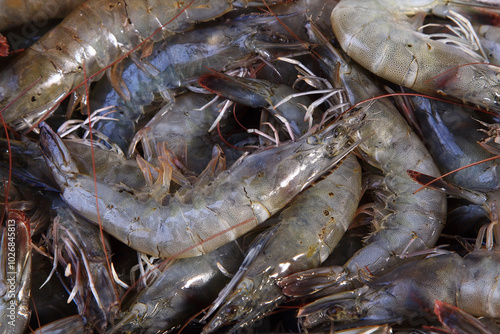 Raw shrimps are stacked at a fish market near Ansan, Korea.
 photo