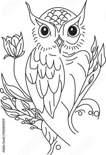 Owl