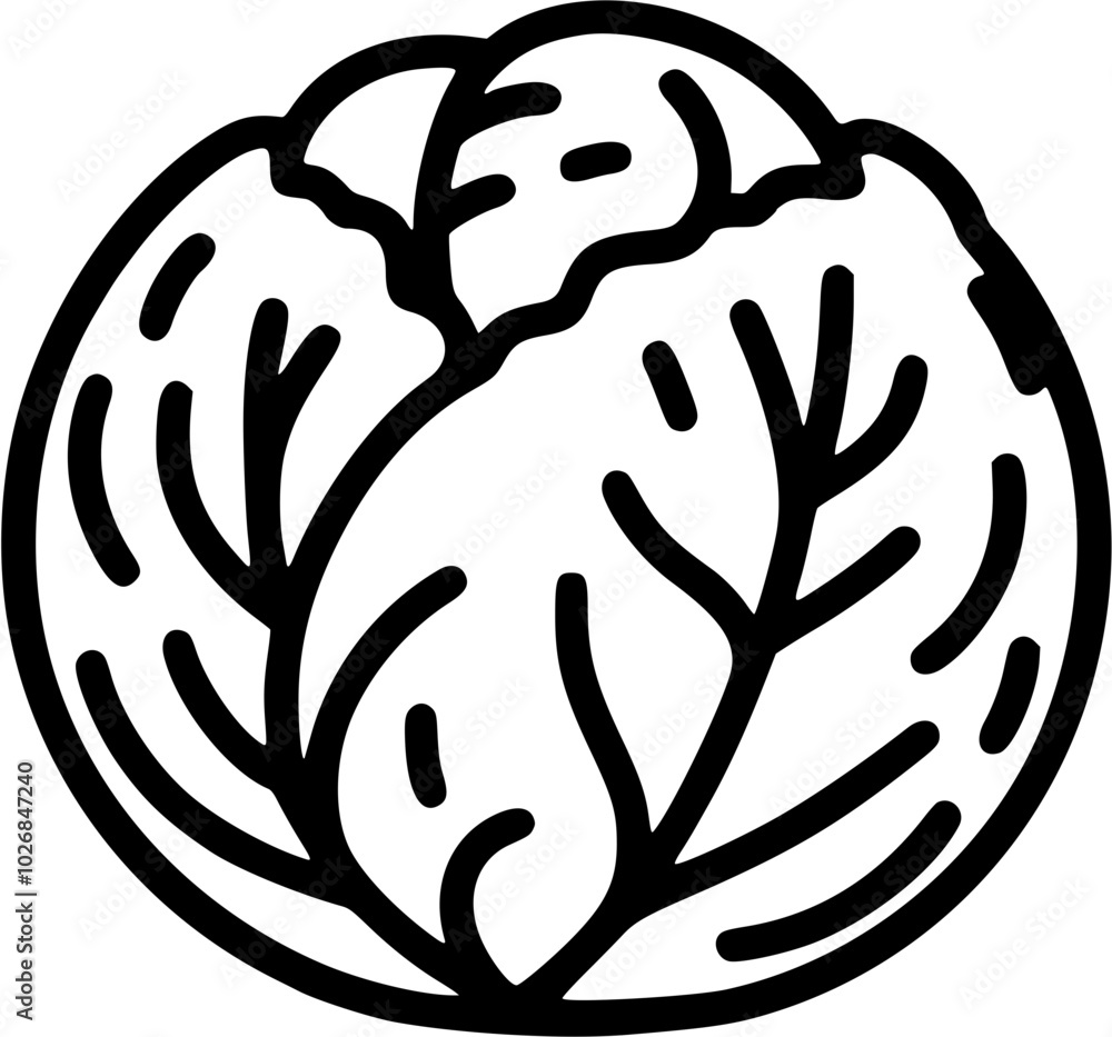 Fototapeta premium cabbage icon