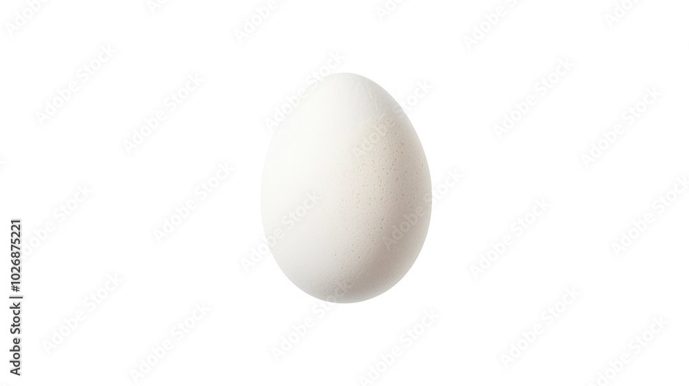 Perfectly boiled egg with smooth white shell - A single Perfectly boiled egg with smooth white shell - A single
