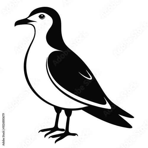 Solid color skua animal vector design