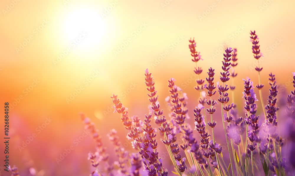 Dreamlike Landscapes and Mystical Gardens with Vibrant Flowers and Glowing Nature Dreamlike Landscapes and Mystical Gardens with Vibrant Flowers and Glowing Nature