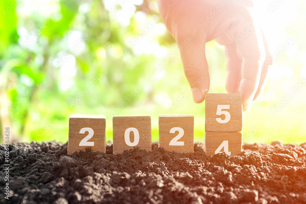 Hand changing year 2024 to 2025 in wooden blocks with growing plant at sunrise. Welcome new year 2025 and goodbye 2024 concept.