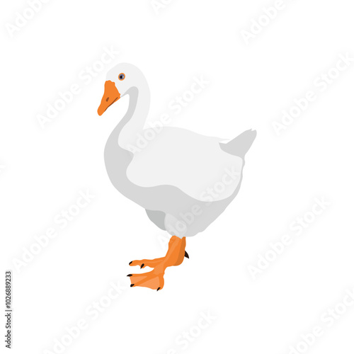 Vector illustration on white goose in cartoon flat style. Cute goose or geese domestic bird for logo and illustration resources. Bird icon and symbol in white background. Domestic farming