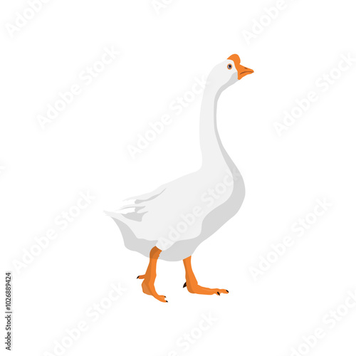 Vector illustration of white goose in cartoon flat style. Cute goose or geese domestic bird for logo and illustration resources. Bird icon and symbol in white background. Domestic farming