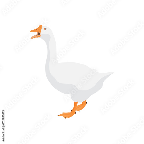 Vector illustration of white goose in cartoon flat style. Cute goose or geese domestic bird for logo and illustration resources. Bird icon and symbol in white background. Domestic farming
