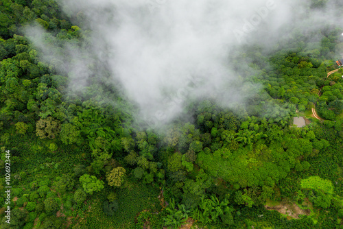 A breathtaking aerial shot of a dense, green rainforest with misty clouds hovering over the treetops, showcasing the beauty of tropical nature.