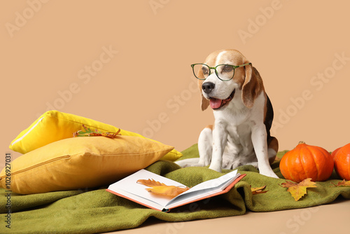 Cute Beagle dog in eyeglass...