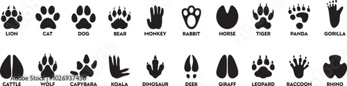 Canvas Print Collection of paw prints and footprints from various wild animals