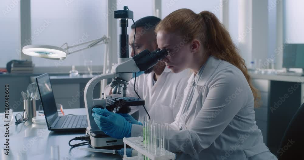 Diverse team of professional microbiologists developing vaccine, doing analysis in advanced medical science laboratory. Female chemist looks under microscope, African American scientist uses laptop. Diverse team of professional microbiologists developing vaccine, doing analysis in advanced medical science laboratory. Female chemist looks under microscope, African American scientist uses laptop.
