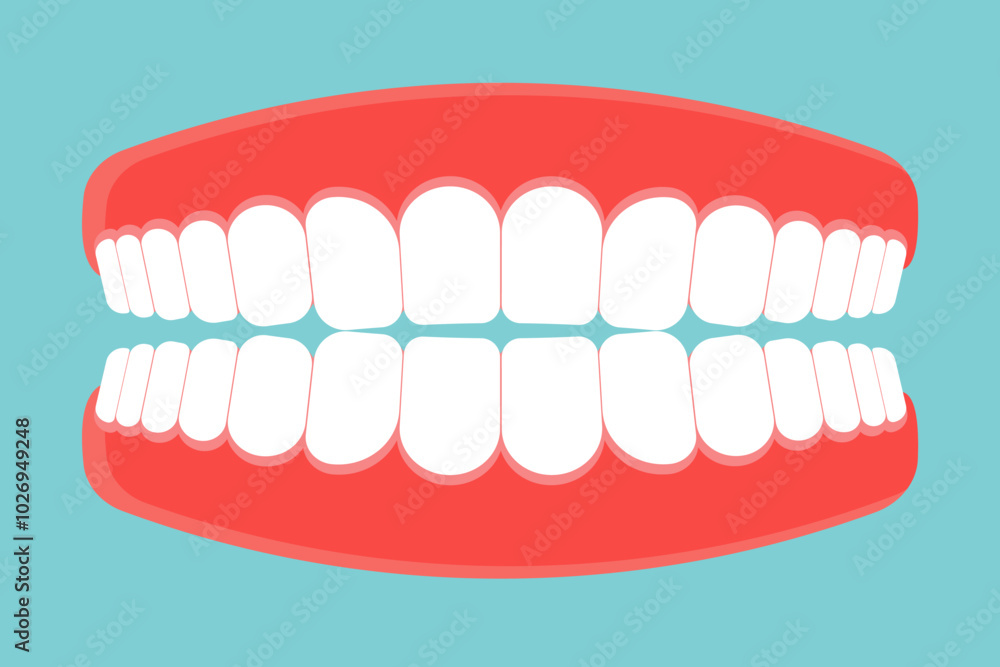 Fototapeta premium Denture icon. Gums with teeth or denture. Vector illustration.
