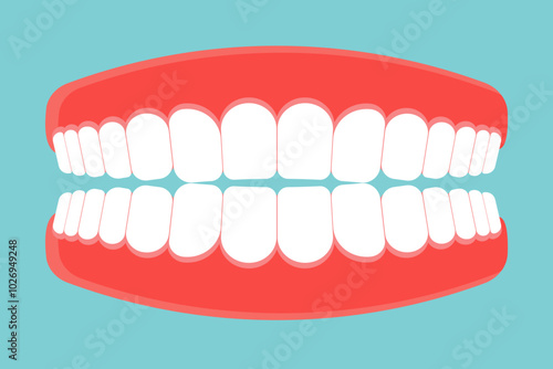 Denture icon. Gums with teeth or denture. Vector illustration.