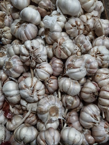 close up of garlic