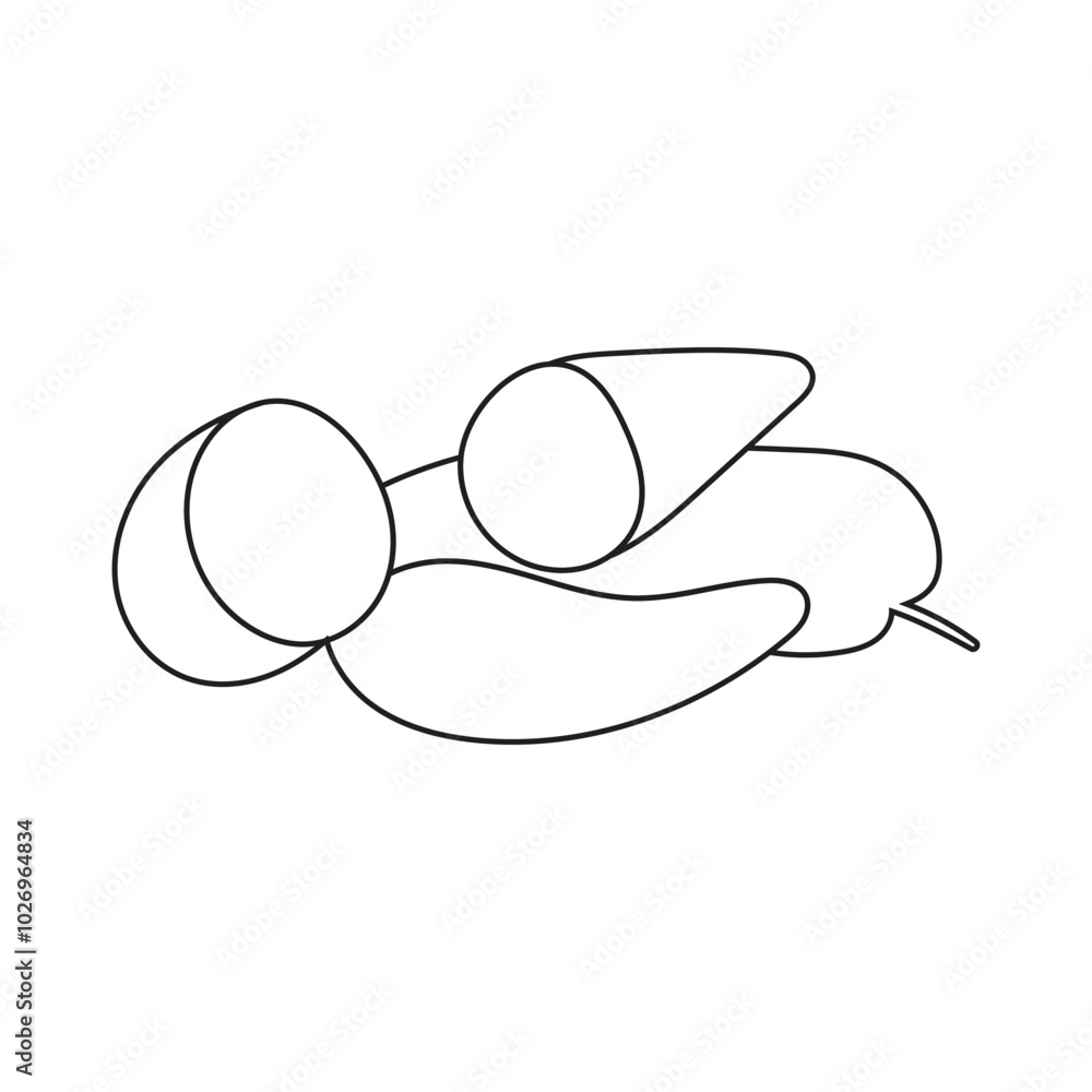 Illustration cassava line sketch with blank background Illustration cassava line sketch with blank background