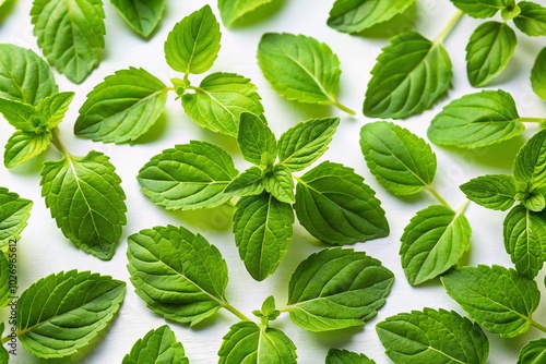 Medicinal Tulsi Leaves on White Background - Holy Basil Herb for Health and Wellness