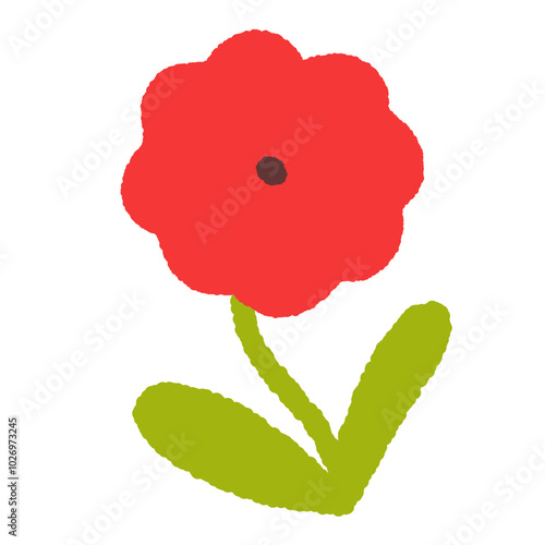 red rose isolated on white