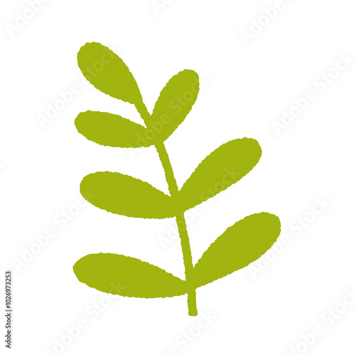 green plant isolated on white background