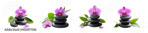 Pink orchid flower with black spa stones on a transparent background