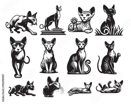 Collection of Sphynx Cat Vector illustration - Sphynx Cat Clipart in black and white