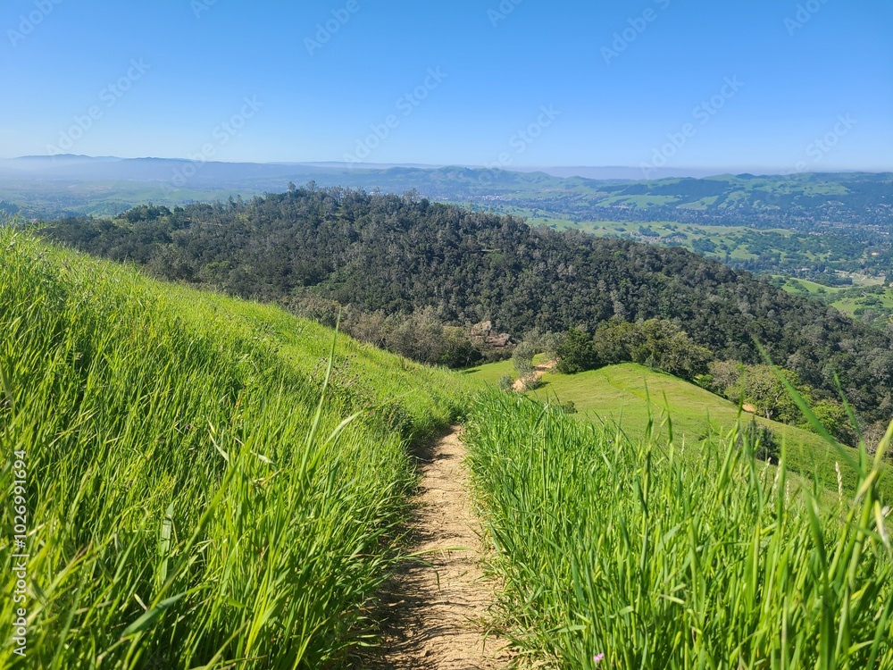 Fototapeta premium Ridgeview Trail on Mt Diablo overlooking the San Ramon Valley, California