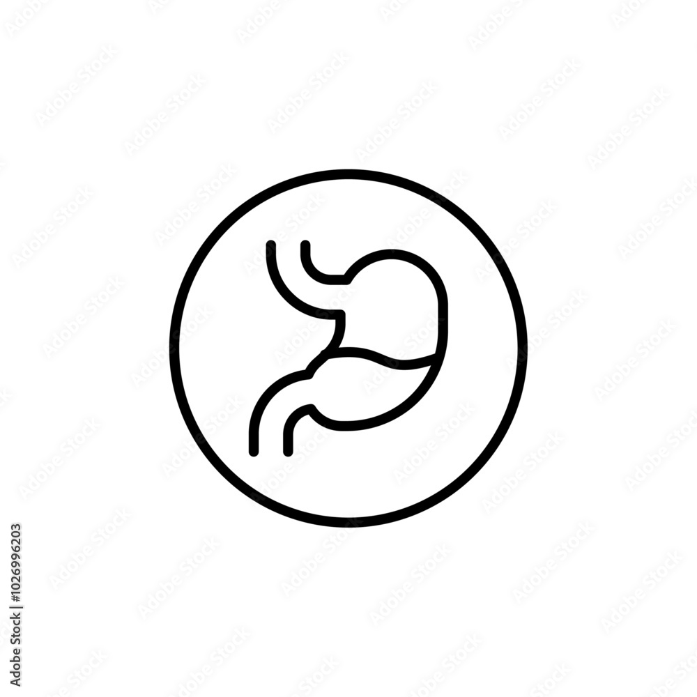 Stomach icon Thin vector set Stomach icon Thin vector set