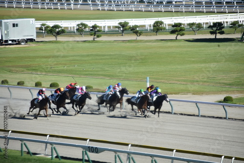 新潟競馬場