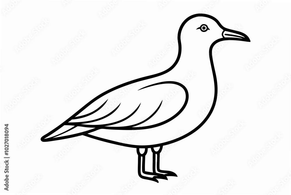 Fototapeta premium Coloring book page, Seagull black and white outline vector illustration 