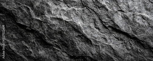 Textured surface of dark stone with intricate patterns and natural markings