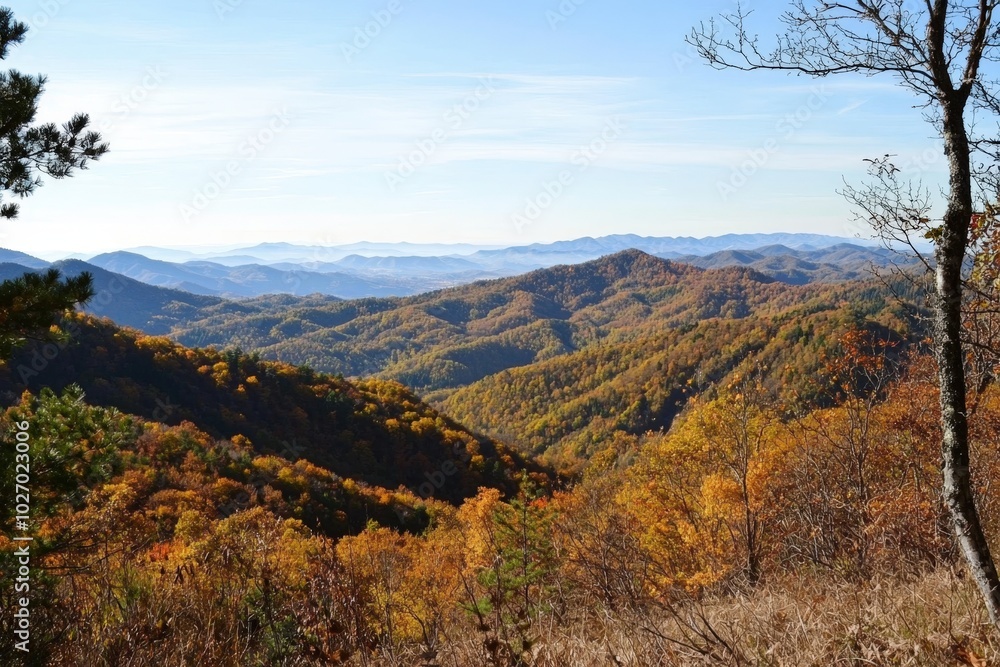 Golden autumn foliage drapes the mountains in a breathtaking view at sunset in the wilderness Golden autumn foliage drapes the mountains in a breathtaking view at sunset in the wilderness