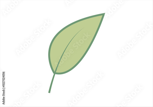 Hojas verde de planta en fondo blanco