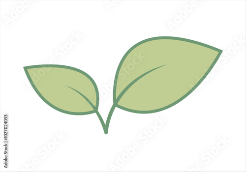 Hojas verde de planta en fondo blanco