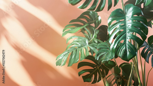 A tropical botanical background with copy space oversized, lush green palm leaves and monstera plants layered on top of a soft muted peach background vacation theme photo