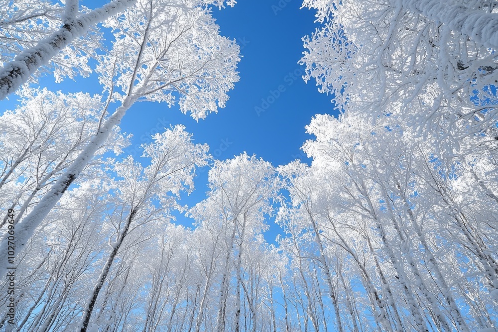 Winter season background with full of snow Winter season background with full of snow