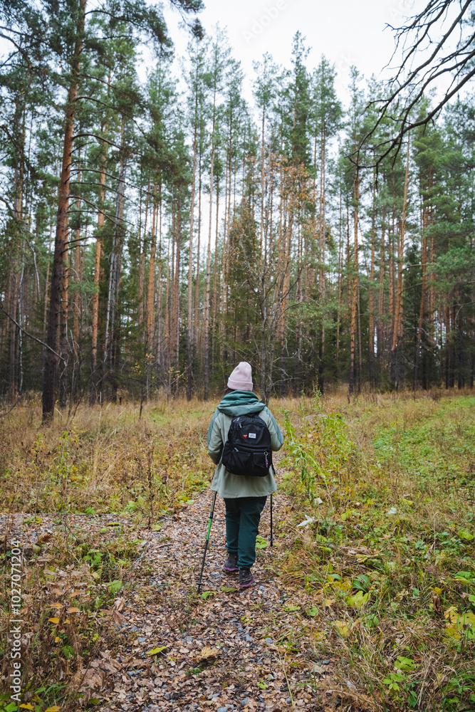 An intrepid explorer is venturing into a serene and tranquil forest trail that is surrounded by majestic and tall pine trees all around An intrepid explorer is venturing into a serene and tranquil forest trail that is surrounded by majestic and tall pine trees all around