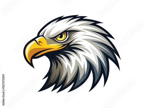 american bald eagle vector illustration.