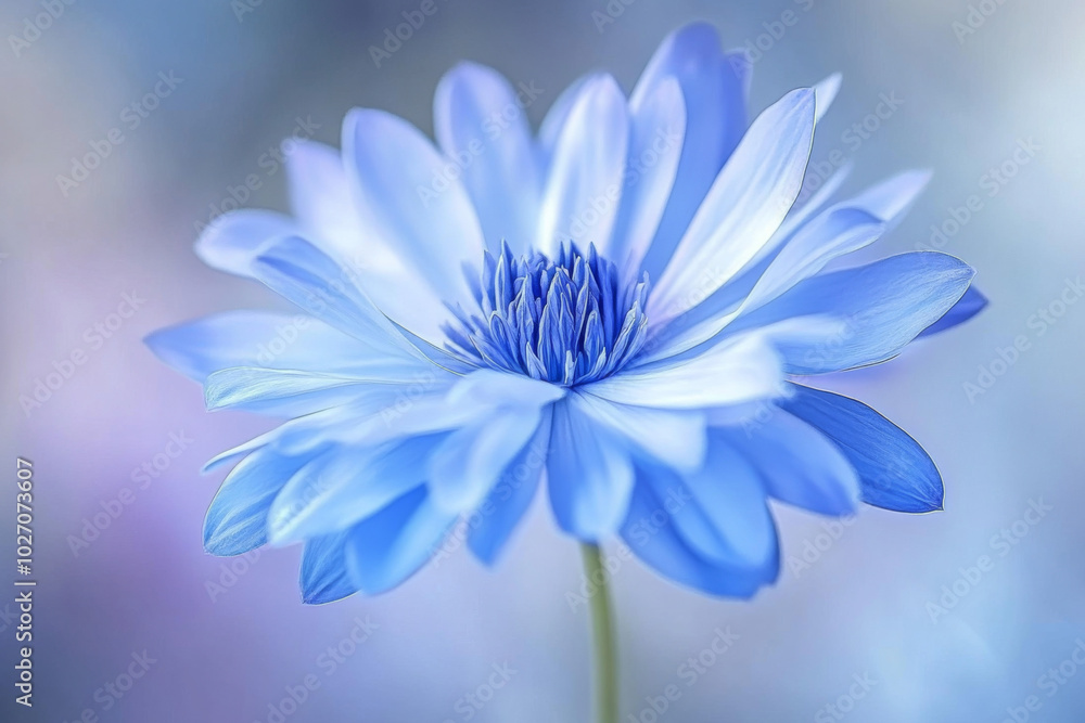 A close-up view reveals a stunning blue flower with soft, delicate petals A close-up view reveals a stunning blue flower with soft, delicate petals
