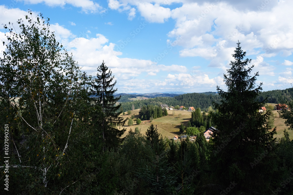 Aerial view of mountain forest in Serbia on a summer day Aerial view of mountain forest in Serbia on a summer day