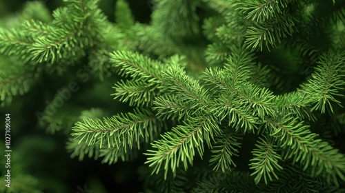 The Green Pine Tree Texture