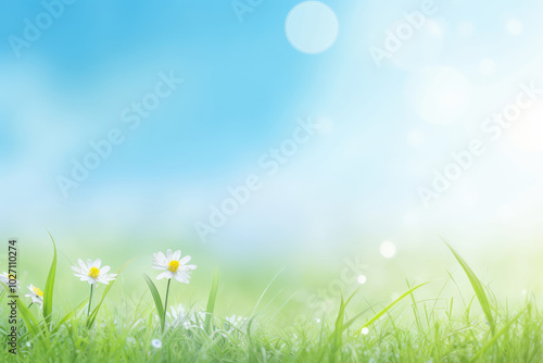 Refreshing Spring Morning Dew on Grass