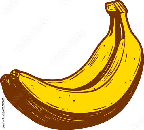 Banana drawing clipart design illustration