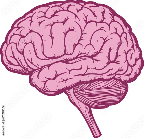 Human brain drawing clipart design illustration