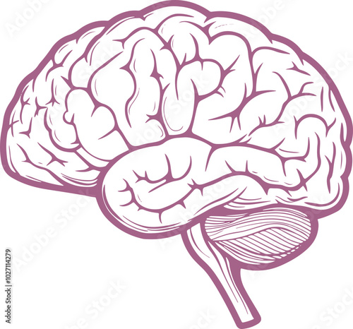 Human brain drawing clipart design illustration