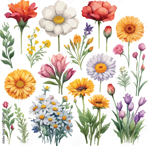 A collection Set of beautiful blooming wild flowers from the garden botanical char