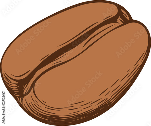 Coffee bean drawing clipart design illustration